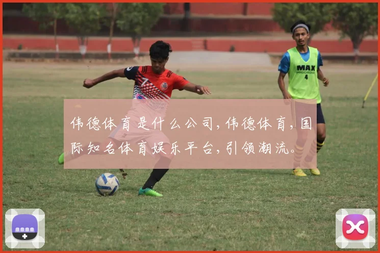 伟德体育是什么公司,伟德体育,国际知名体育娱乐平台,引领潮流。