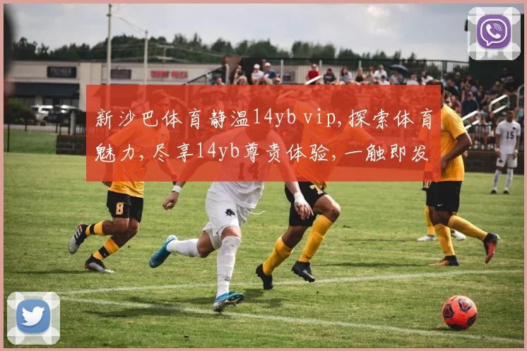 新沙巴体育静温14yb vip,探索体育魅力,尽享14yb尊贵体验,一触即发