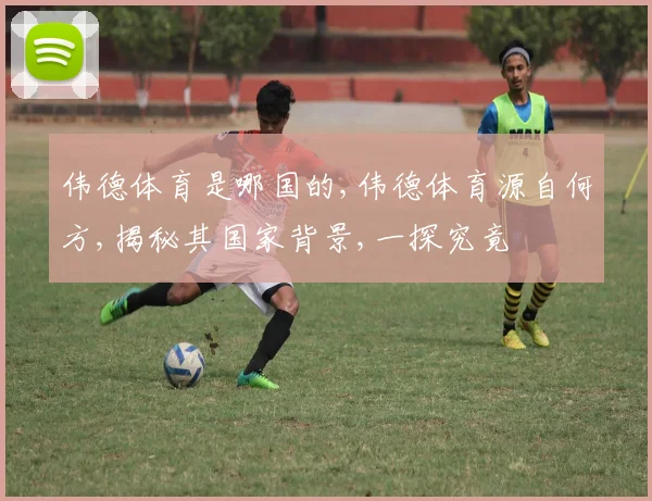 伟德体育是哪国的,伟德体育源自何方,揭秘其国家背景,一探究竟